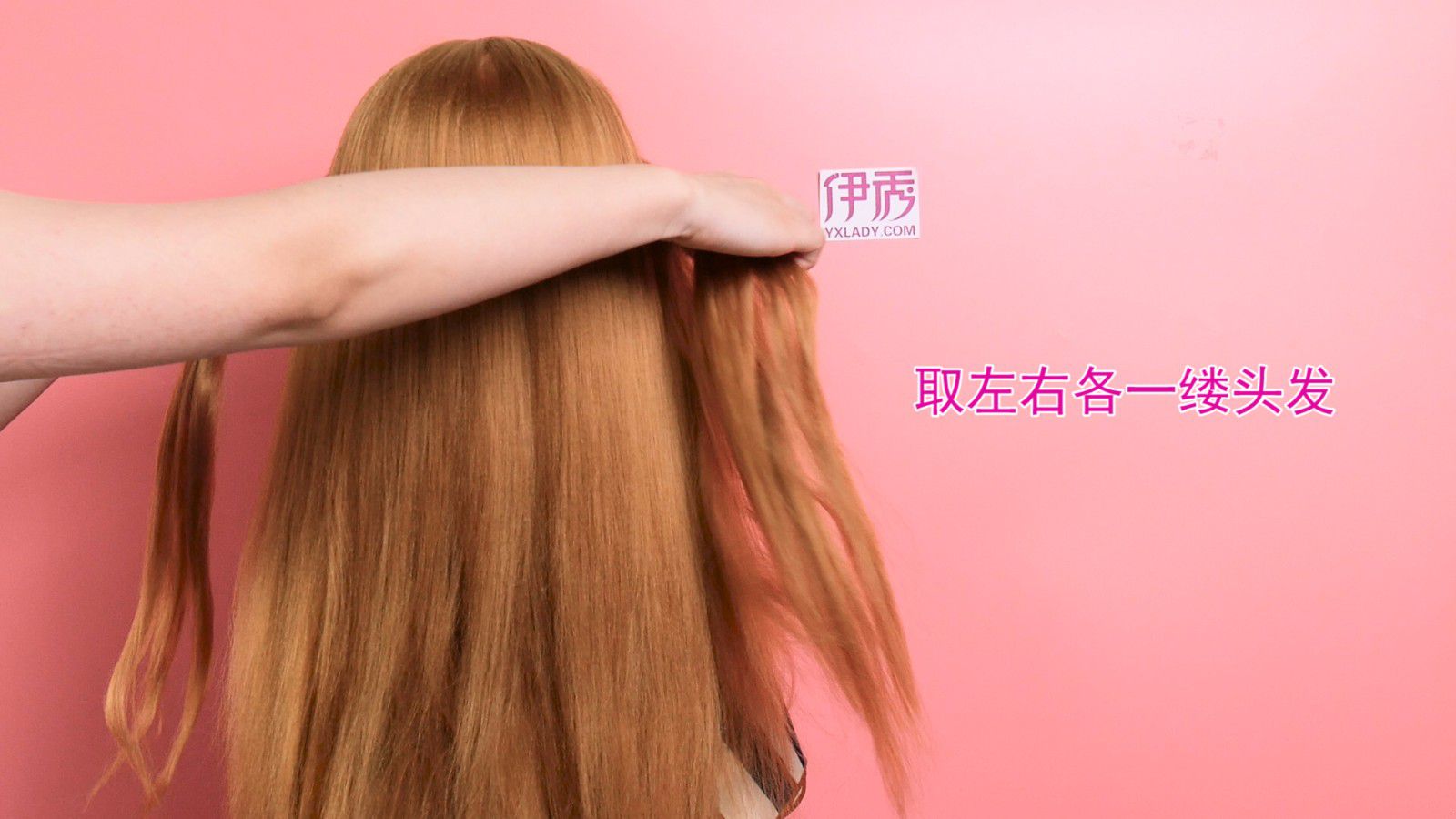 解锁新市场！梅州观赏鱼 “游” 进马来西亚